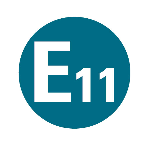 E11